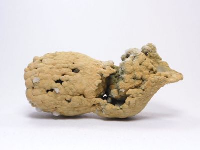 Siderit, pyrit - ⚒ Nikolaevskij, Dalněgorsk, Rusko